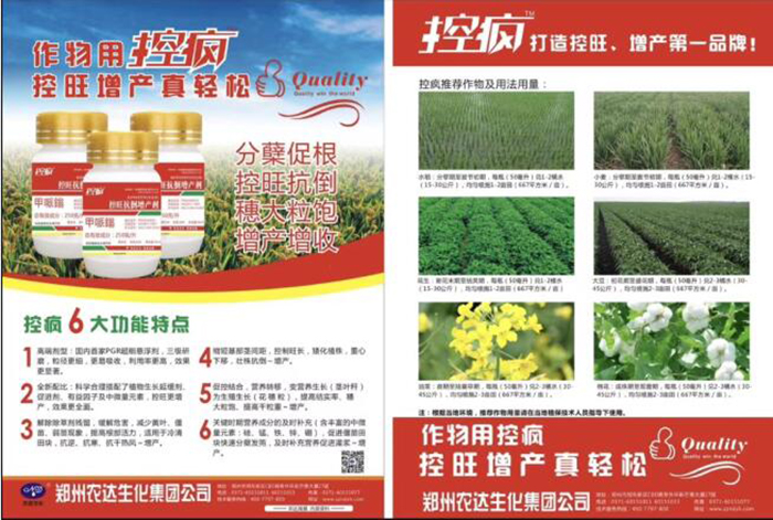 Talking about the Performance of Crazy Control in Cotton and the Key Points of Cotton Chemical Control Technology(ͼ5)