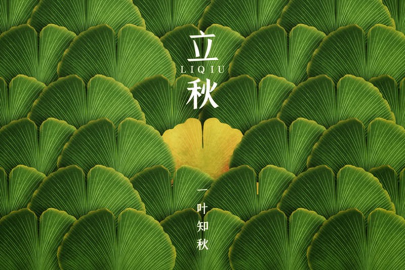今日立秋(图2) 今日立秋(图2)