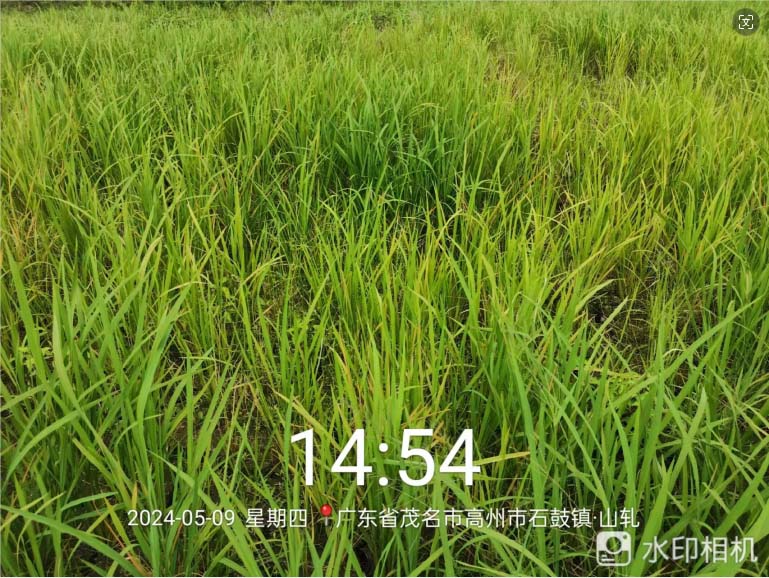 Z6ʱ(й)ٷվ