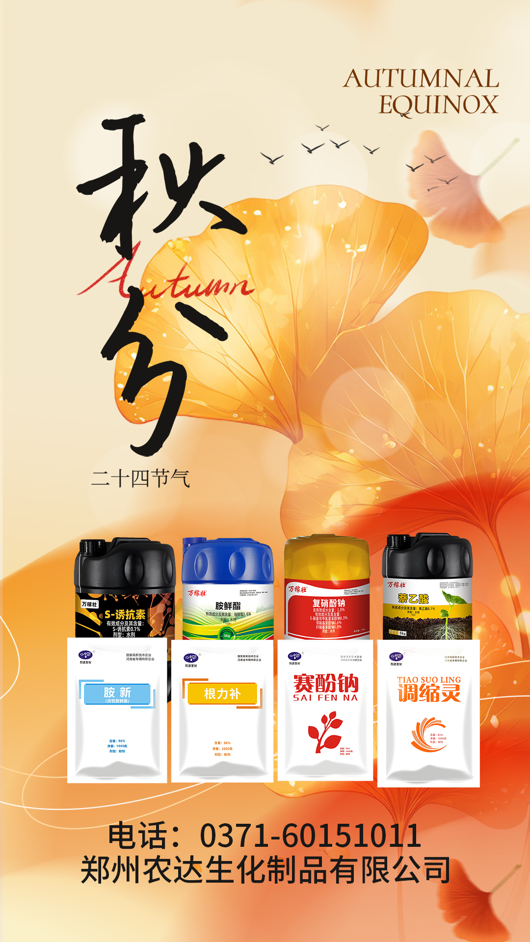 Çï·Ö(ͼ13) Çï·Ö(ͼ13)